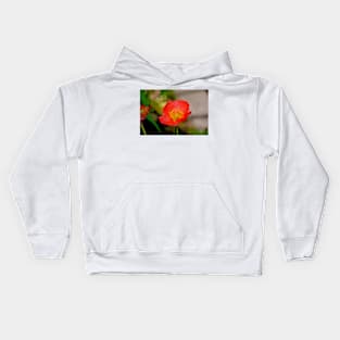 Winter Park 2018 Study 14 Kids Hoodie